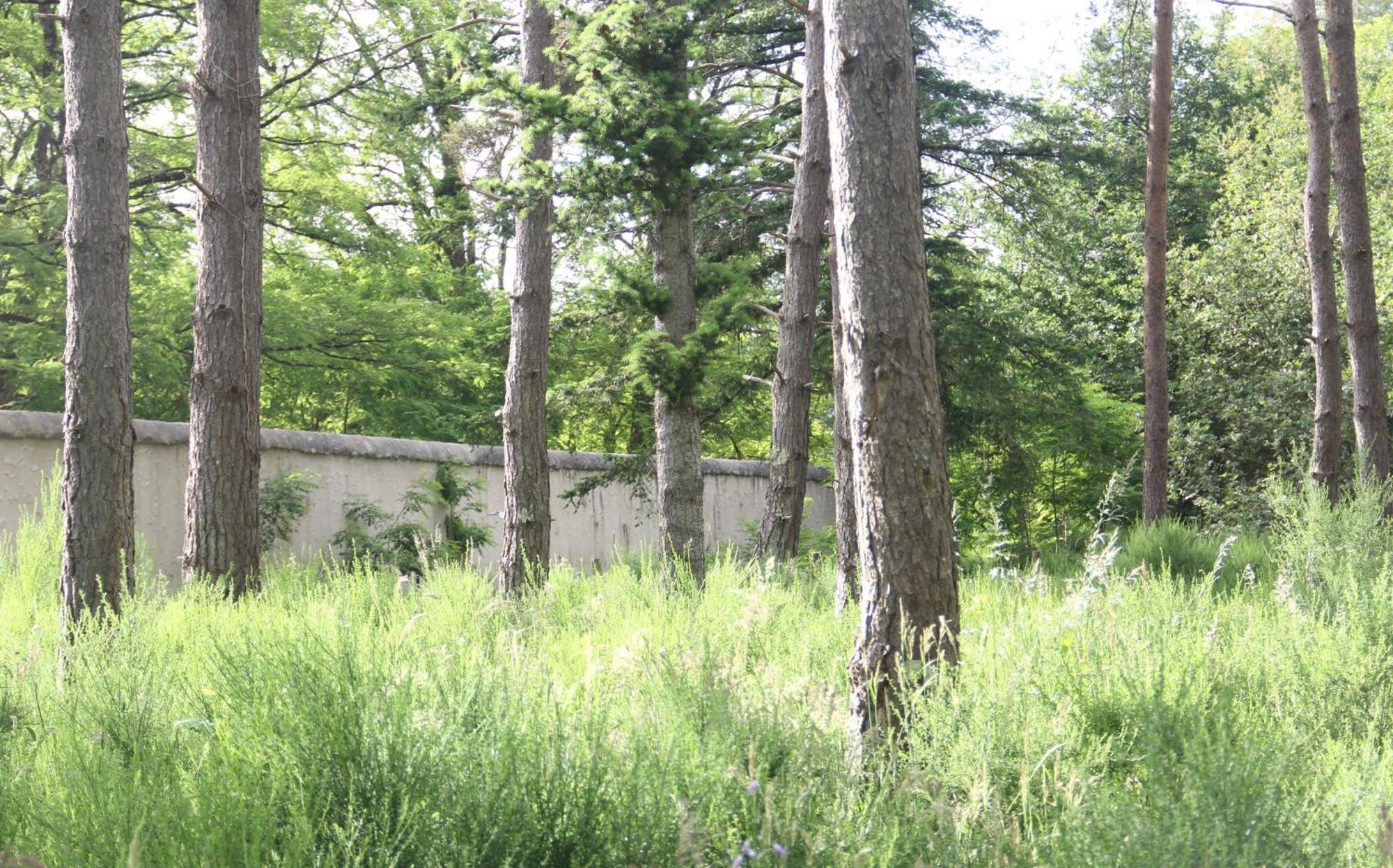 Le Refuge De Chambord Villa Thoury Ngoại thất bức ảnh